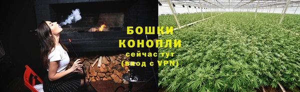 дживик Балахна